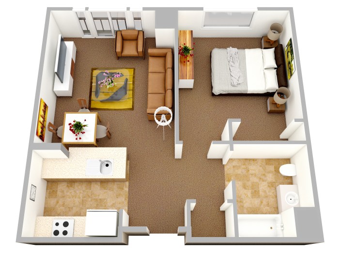 One bedroom home design